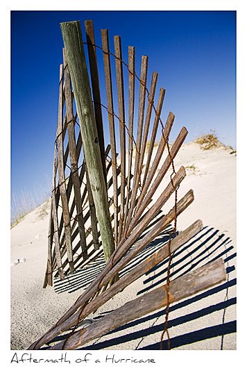 Click to purchase: Twisted Dune Fence